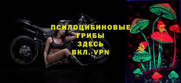 MESCALINE Богданович