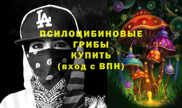 мяу мяу мука Беломорск