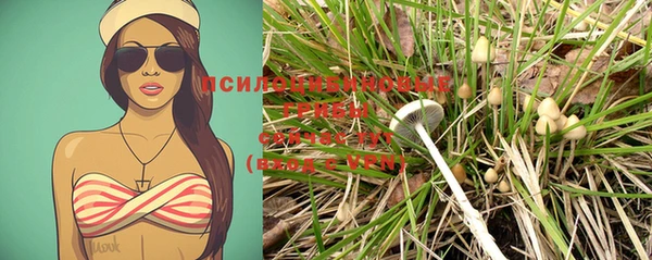 MESCALINE Богданович